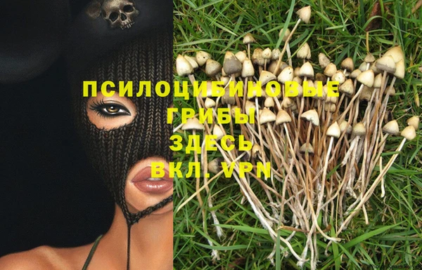 дмт Майский