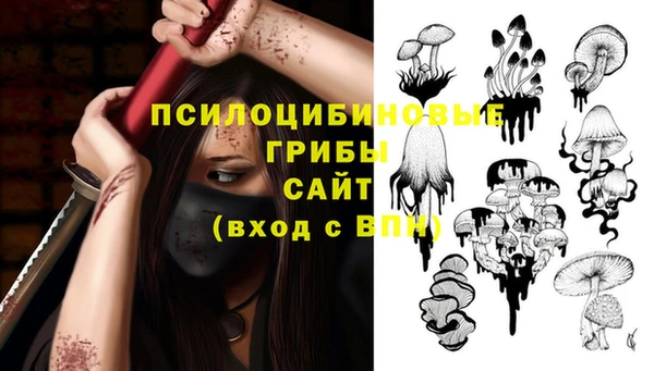 герыч Магас