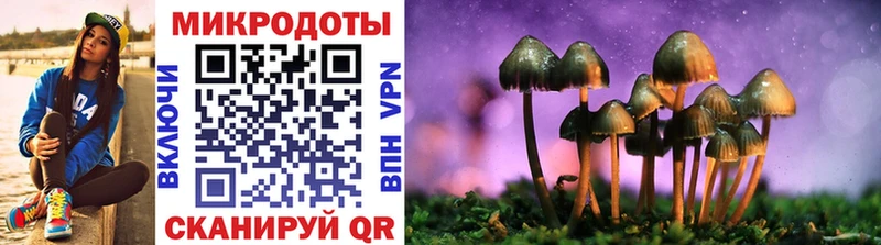 купить наркотик  Хилок  Псилоцибиновые грибы мухоморы 